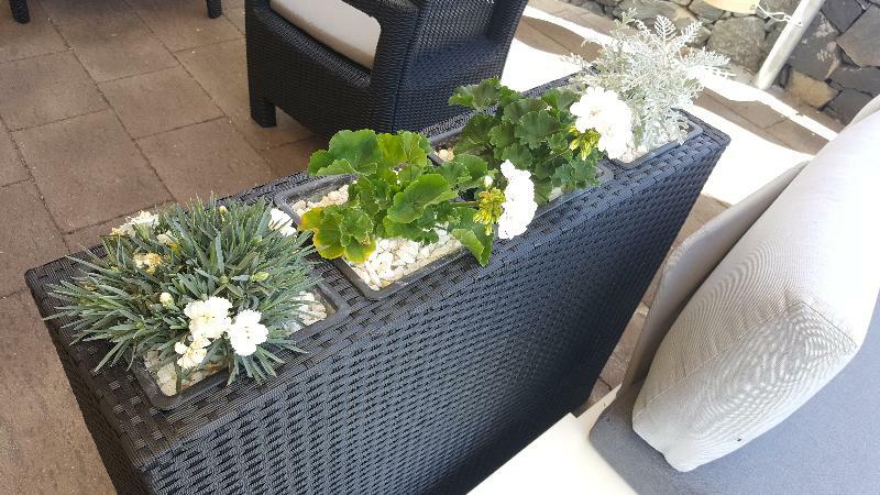 Hotel El Tejar Vilaflor Zewnętrze zdjęcie